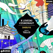 Shibuya (Teelco Remix) artwork