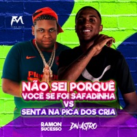Não Sei Porquê Você Se Foi Safadinha Vs Senta na Pica dos Crias - Single - DJ DN O ASTRO & Dj Ramon Sucesso