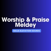 Worship & Praise artwork
