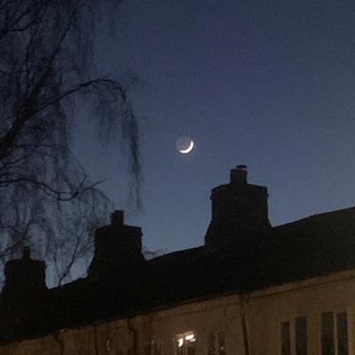 :) (feat. Paulie Leparik) - Single