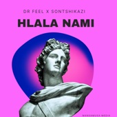 Hlala Nami artwork