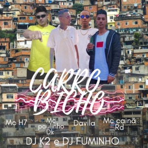 Carro Bicho