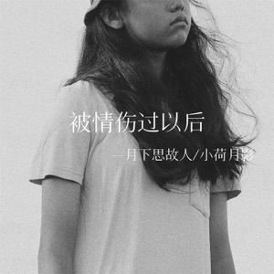 被情伤过以后 (对唱版) - EP