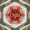 Dalia
