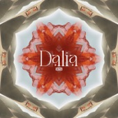 Dalia artwork