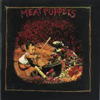 Meat Puppets — Meat Puppets