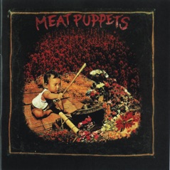 Meat Puppets