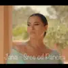 Srce od Pancira