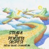 Strada Dei Pensieri Sospesi - Single