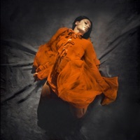 Martyr - Single - Sevdaliza
