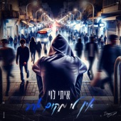 אין לי מקום אחר artwork