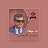 Saadi Al Bayati