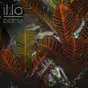il:lo - Biome