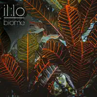 Biome — il:lo