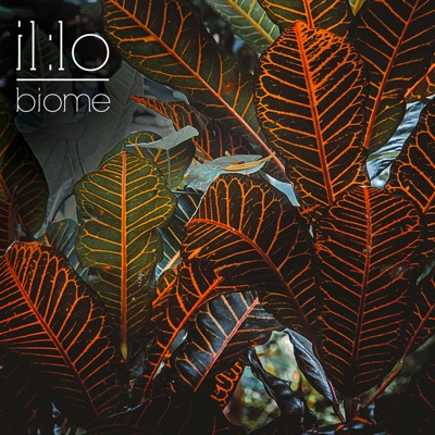 Biome - Single