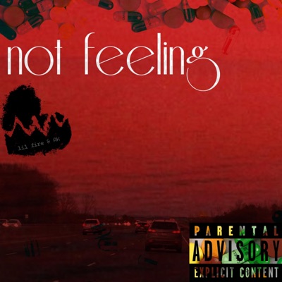 Not Feeling (feat. Lil Fire) - Single