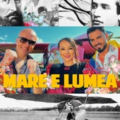 Mare e lumea artwork