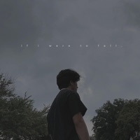 if i were to fall (feat. Jacob Adams) - Single - Justice Posas