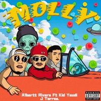 Molly (feat. KID YEUDI & j Torres) - Single - Albertt Rivera