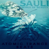 Wings of Beauty (Radio Edit) artwork