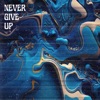 Never Give Up - Single