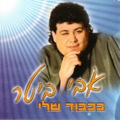 בית אבי artwork