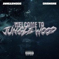 DRAMANE x JungleWood (Welcome To JungleWood) (feat. Dramane) - Single - Jungle Wood