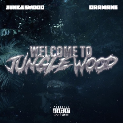 DRAMANE x JungleWood (Welcome To JungleWood) (feat. Dramane) - Single
