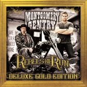 Rebels On the Run (Deluxe Gold Edition) artwork