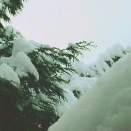 Lumi Drrreems & David Chief