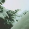 Lumi - Drrreems & David Chief lyrics