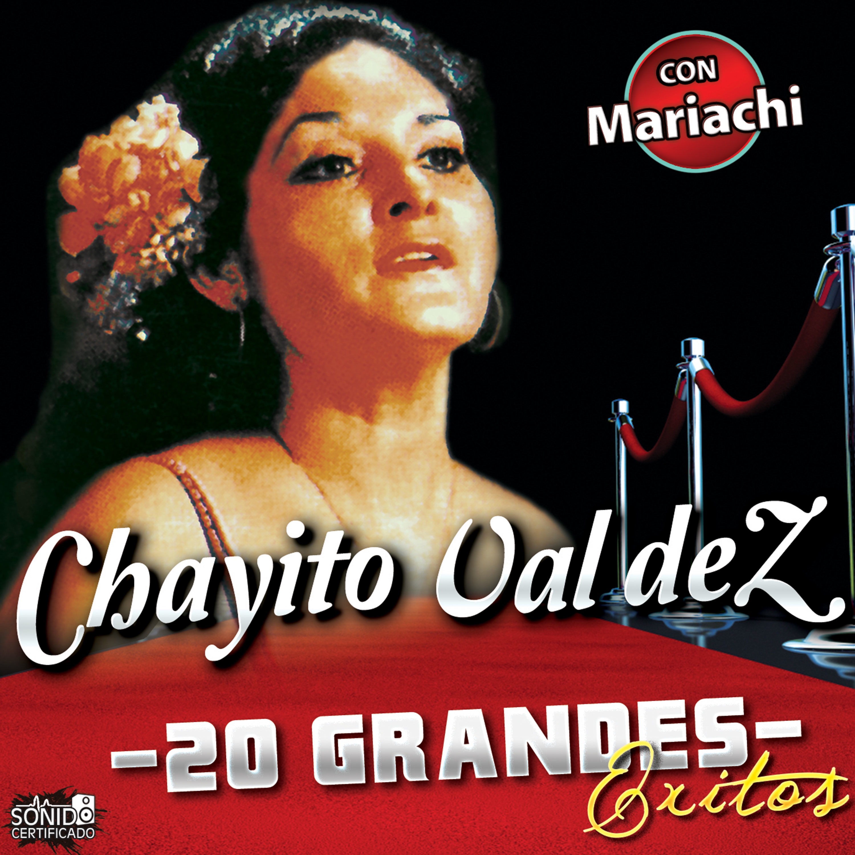 20 Grandes Éxitos