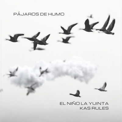 Pájaros de Humo - Single
