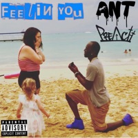 Feelin You (feat. Foul Mouth Preacha) - Single - Dj @NT