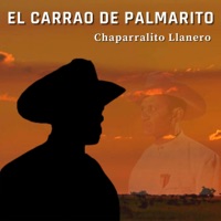 El Carrao de Palmarito - A Orilla del Río Apure