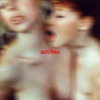 Models & Bottles - Single - Gnoir