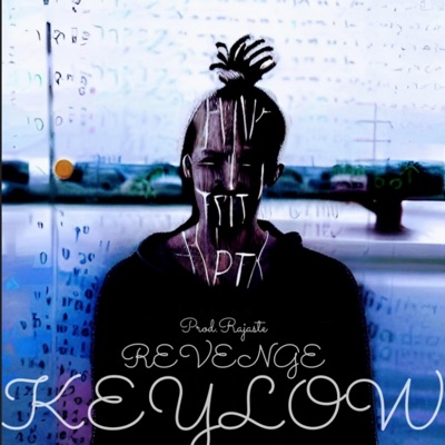 Revenge - Single