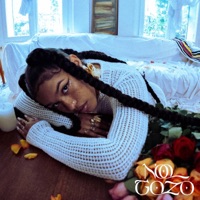 NO GOZO - Single - La Valentina