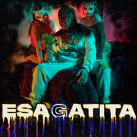 Esa Gatita - Single - Willisac & Panky doble ele