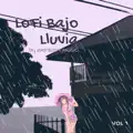 BOSQUE LLUVIOSO