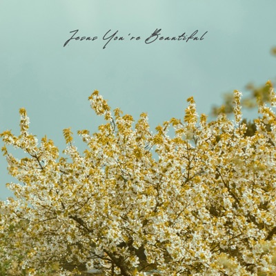 Jesus You're Beautiful (feat. Ingunn) - Single
