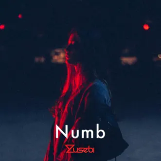 Numb - Single by Zusebi album reviews, ratings, credits