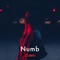 Numb artwork