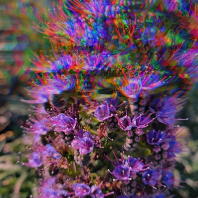 Story of my Vices, Pt. 2 - Single