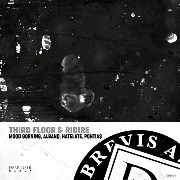 Third Floor & Ridire - Single