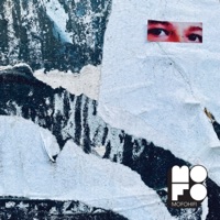 Everywhere - Single - Love Houndz & The Young Punx