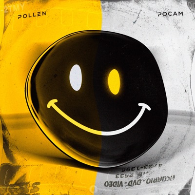 Sorria Que Você Está Sendo Filmado (feat. Poçam) - Single