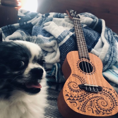 Ukule - Crazy Stadium