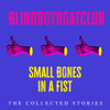 Small Bones in a Fist - Blindboy Boatclub