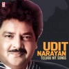 Udit Narayan Telugu Hit Songs